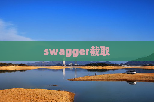 swagger截取